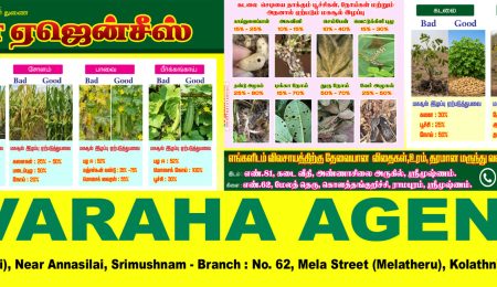 SRI VARAHA AGENCIES